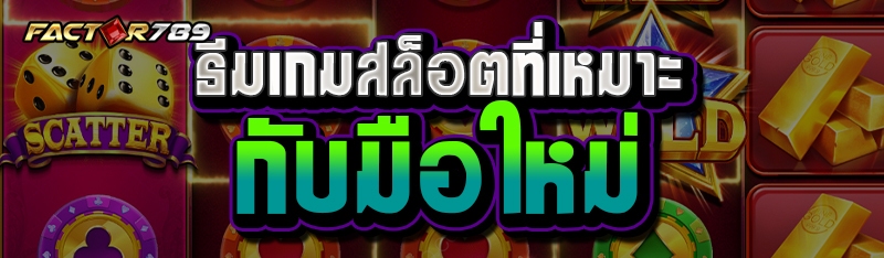 ธีมเกมสล็อตที่เหมาะกับมือใหม่